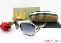 burberry 2013 sunglasses advanced lentille ba004